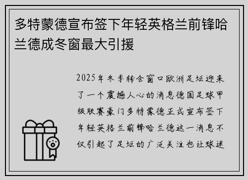 多特蒙德宣布签下年轻英格兰前锋哈兰德成冬窗最大引援
